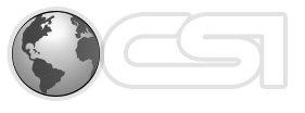 Consulting Services Inc