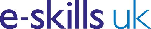E-skills