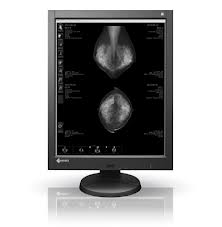Eizo RadiForce GX540