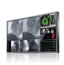 Eizo RadiForce LX600W