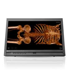 Eizo RadiForce MS231WT