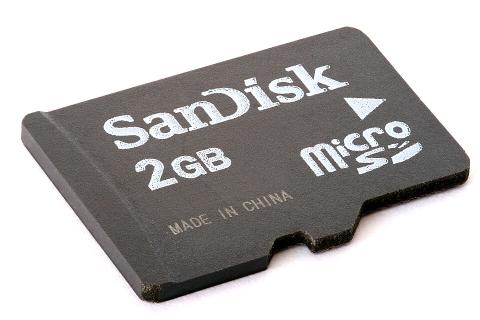 Flash-memory cards — the technology pioneered by SanDisk's Eli Harari.
