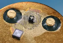 Silicon transistor dies — Moore's Law describes their relentless shrinking.